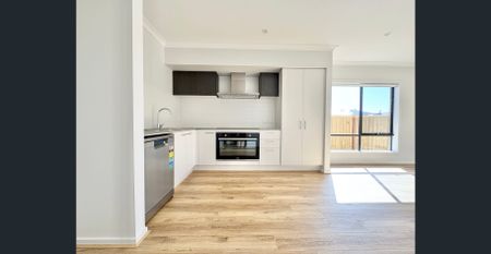 Brand New Comfort & Style in Charlemont - Photo 5