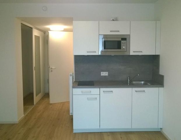 NANOS Nordstadt Nr. 2.02 - Foto 1