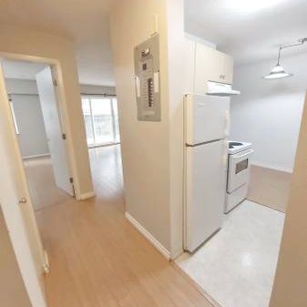 Kitsilano 1bdrm close to Kits beach - avail now - Photo 4