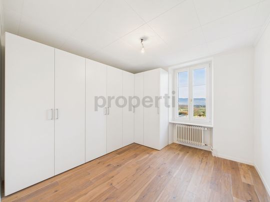 Magnifique Maison de Caractère rénovée au CSur du Village de Collex-Bossy Charm, comfort and Mont-Blanc view - Photo 1