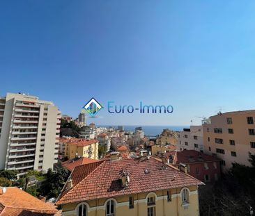 Location Appartement 1 pièce 21m² BEAUSOLEIL 06240 - Photo 6