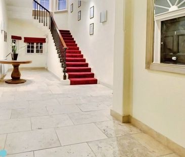 Museum Street - Photo 2