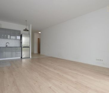 Warszawski, Warszawa, Ursynów, Zięby - Фото 1