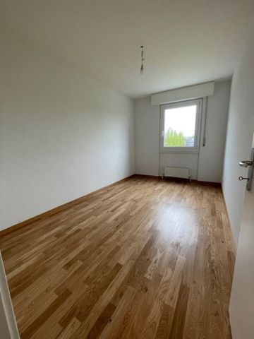 Appartement entièrement rénové de 3.5 pièces au 5ème étage, avec balcon. - Photo 4