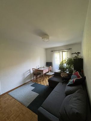 3 Zimmer, 55 m², 3. Stock - Foto 1