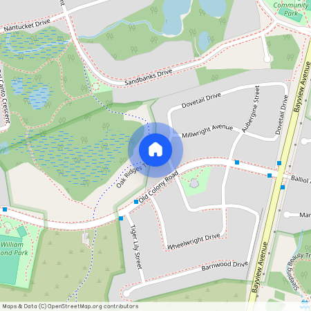 8 Dovetail Drive, Richmond Hill