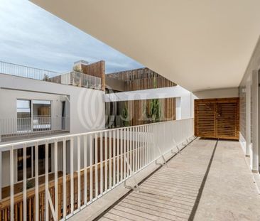 2 room luxury Flat for rent in Junqueira (Santa Maria de Belem), Li... - Photo 4
