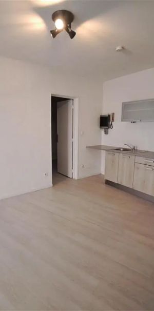 Location appartement 1 pièce - 28.9m² à Saint-uze (26240) - Photo 1