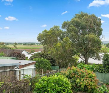 Three Bedroom Home in East Maitland - Photo 4