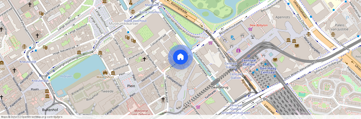 Uilebomen, 2511 EG, Herengracht, Den Haag