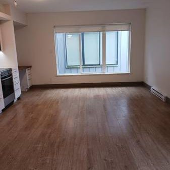 Newly Renovated Studio Apartment - Starting at $1800 - Photo 3