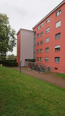 Gemütliche Wohnung an zentraler Lage - Foto 4