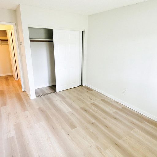 Pinetree Apartments - Photo 1