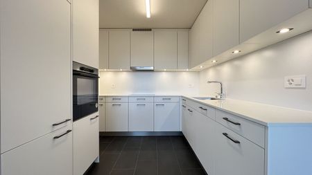 Urbanes Wohnen im Grünen: 2019 sanierte 3-Zimmerwohnung in Muttenz - Photo 5