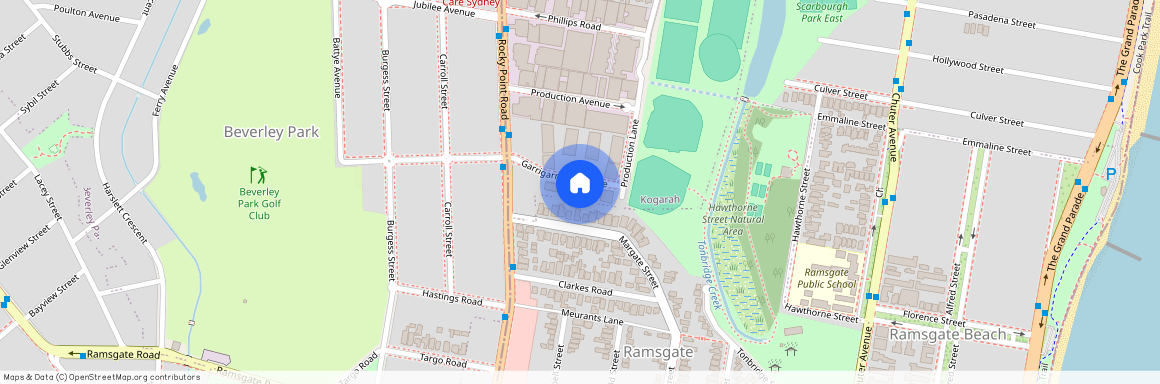 16 Garrigarrang Avenue, NSW 2217, Kogarah