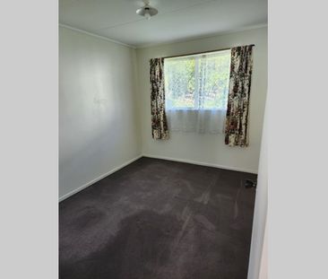 Newly Renovated 3 Bedroom Home - Photo 2