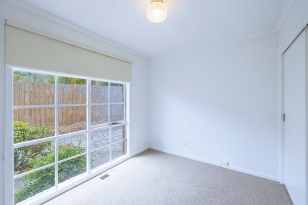 2/13 Wilson Street, Murrumbeena VIC 3163 - Apartment For Rent | Domain - Photo 1