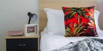Studio Apartment - Photo 2