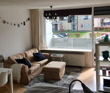 Boksdoornerf, 657 - Foto 2