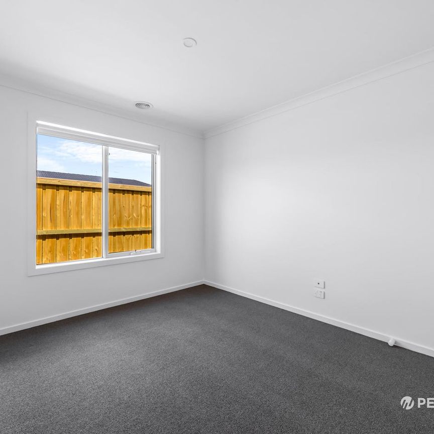 All New Contemporary Lifestyle Bliss Close to Park - Photo 1