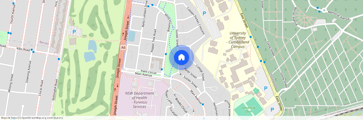 76 Sussex street, NSW 2141, Lidcombe