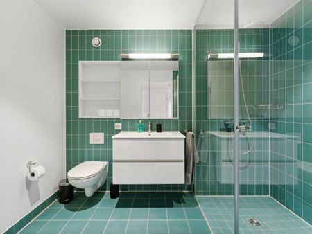 Basel-Münchenstein – 7 min. from the SBB train station in Basel - Foto 5