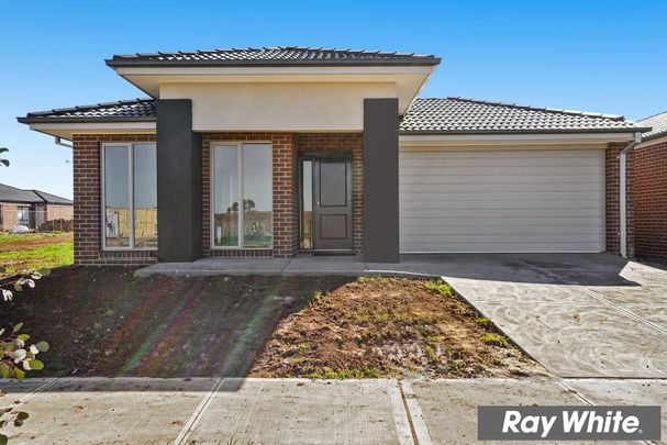 Family Living Made Easy in the Heart of Tarneit! - Photo 1
