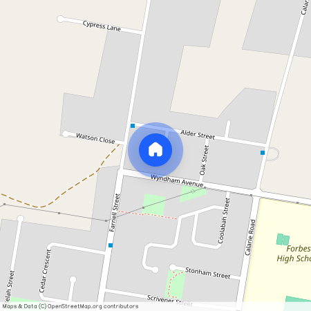8 Elm Place, Forbes 2871, New South Wales