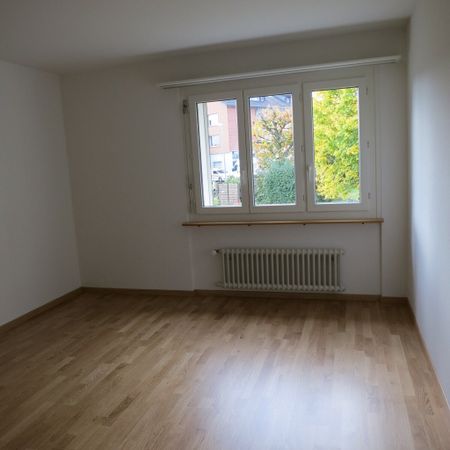 3 Zimmer-Wohnung in Feldmeilen mieten - Photo 3