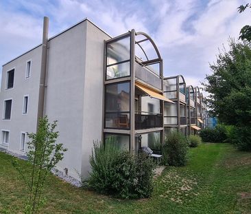 Appartement 2.5 pièces dans un quartier convivial - Photo 6