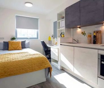 Classic Plus Studio - Photo 5