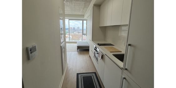 Studio (1 1/2 ) Downtown Montreal/Studio - Photo 3