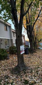 5 ET DEMI DISPONIBLE LE 1ER OCTOBRE 2025 - Photo 4