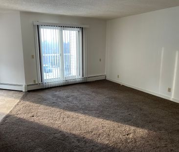 IN SUITE LAUNDRY! 2 BED TOP FLOOR SUITE SMALL PET FRIENDLY! - Photo 4