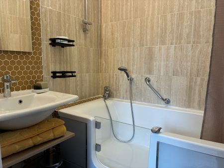 Location Appartement 1 pièce 25m² LILLE 59800 - Photo 5