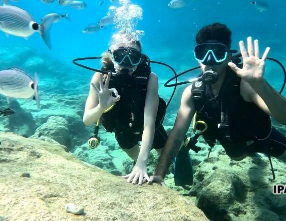 Paar sucht 2-Zimmer-Wohnung – kein Dachgeschoss, bis 1000 € - Photo 1