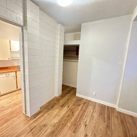 Cozy Apartment in James Bay! - Photo 4