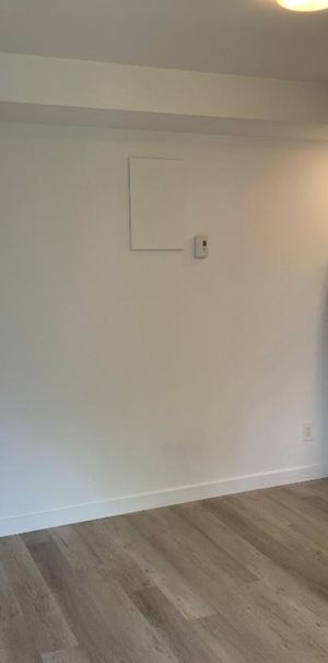 BEAU LOFT – CUISINE RÉNOVÉE – VILLERAY, MONTRÉAL - Photo 1