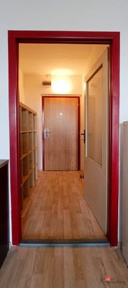 Pronájem bytu 1+kk 29 m² - Photo 1