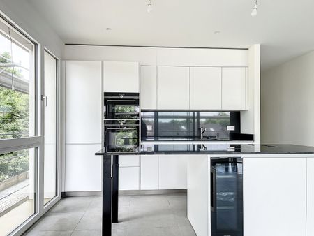 Appartement de 5 pièces avec terrasse à Bellevue - Photo 3