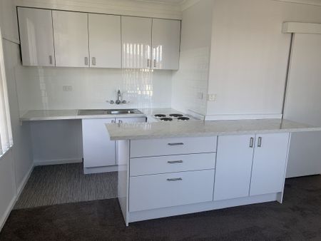 Fully Renovated One Bedroom Unit With Parking - Photo 4