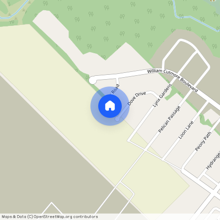 3253 Dove Drive, Oakville