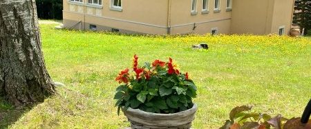 Schicke, möblierte 2-Raum-Wohnung in Cämmerswalde zu vermieten! - Photo 1
