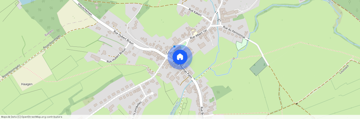 Place Thomas Palm, 3, a, 4837, Membach