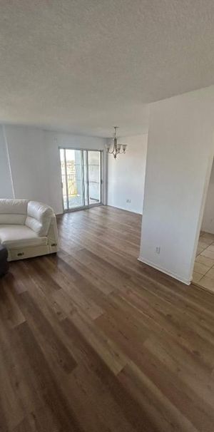 1 CH - 1 SDB - Côte Saint-Luc - $1,645 /mo - Photo 1
