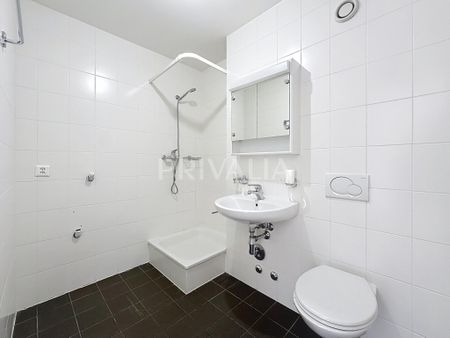 Superbe attique à proximité des Organisations Internationales - Photo 4