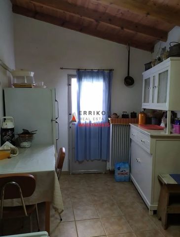Μονοκατοικία για ενοικίαση Καρυά (Λύρκεια) - Φωτογραφία 2