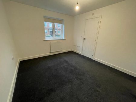 The Newton - Photo 3