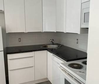 Large Renovated 2 Bedroom in Great location - Photo 1