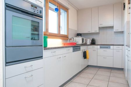 31/2-ROOM APARTMENT IN OBERRIEDEN (ZH), FURNISHED - Photo 3